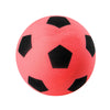 Neofoam Foam Ball - Nordic Sport
