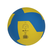 Gala BV555S Training 210 G Volleyball – Lightweight Training Ball for Children Aged 8–12 - Nordic Sport