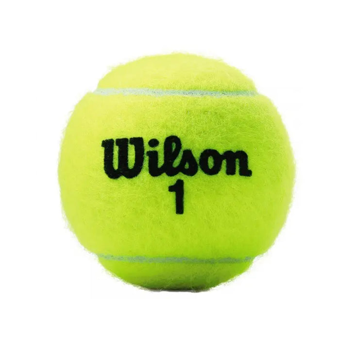 Tennis bals Wilson "Championship XD" 4-Pack