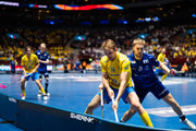 Innebandysarg Swe rink 40x20 - Nordic Sport