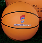 Minibasketball Size 3 - Nordic Sport